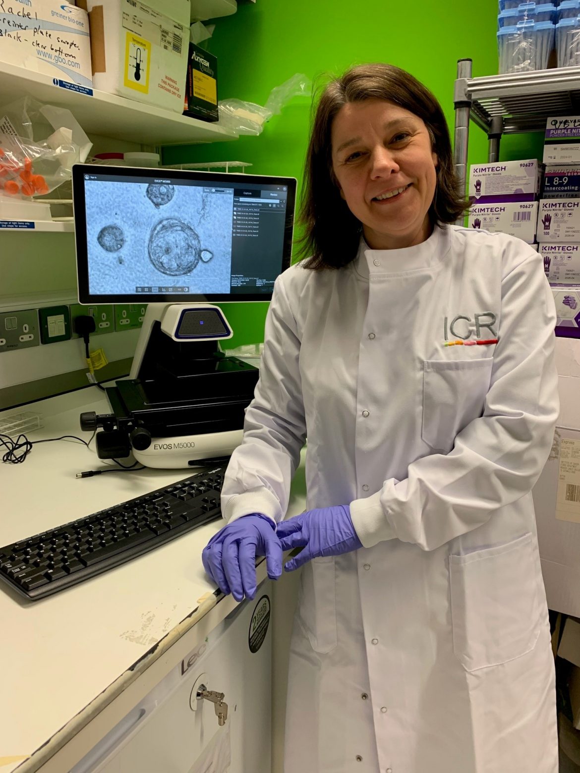 Lisa and her team at the ICR use INTEGRA’s VIAFLO electronic pipettes to increase throughput in their preclinical drug screening and translational medicine