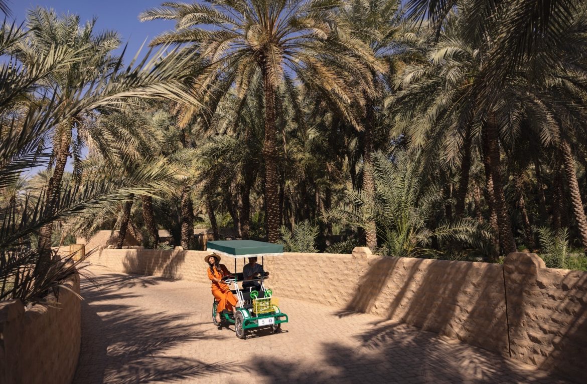 Al Ain Oasis