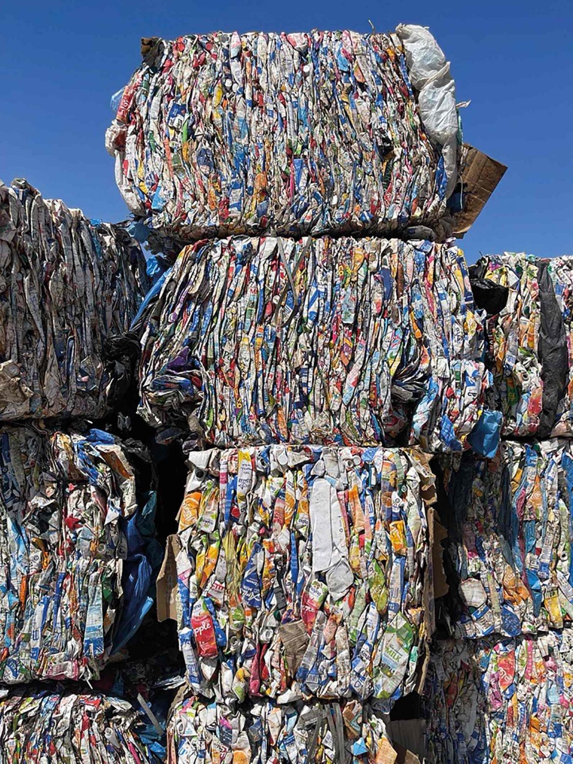 Recycling in Egypt (1)