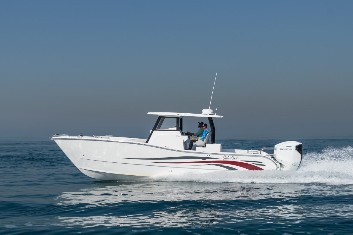 SilverCAT 34CC8 (003)
